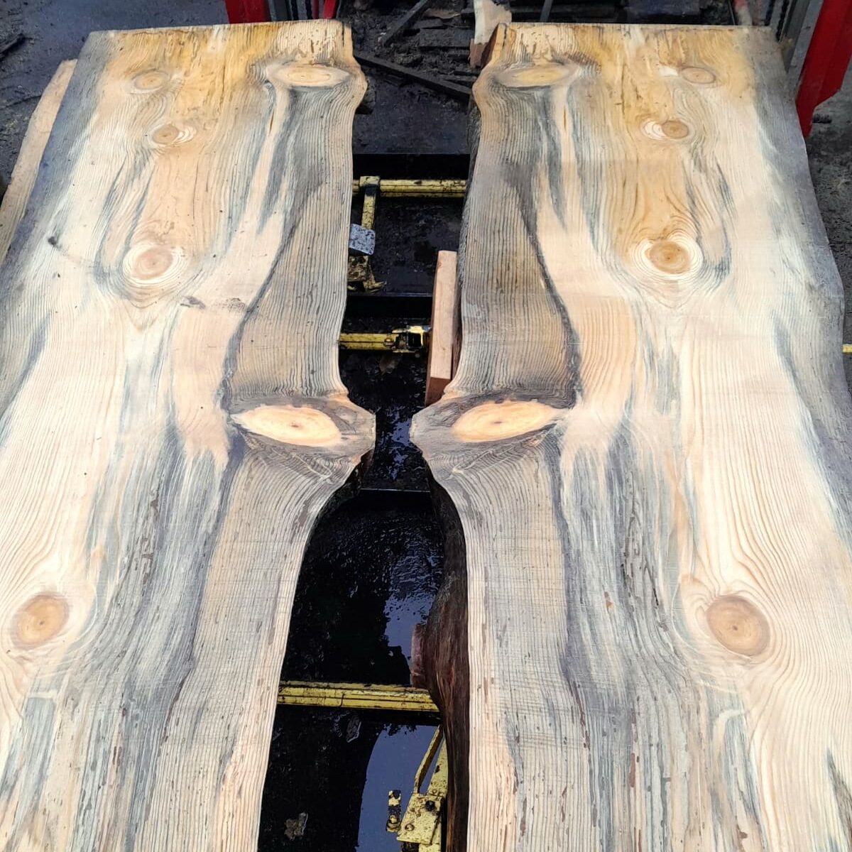 two Blue Pine slabs