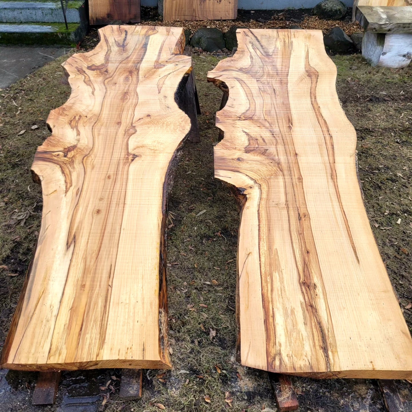 a couple of Norway Maple wood pieces on the ground