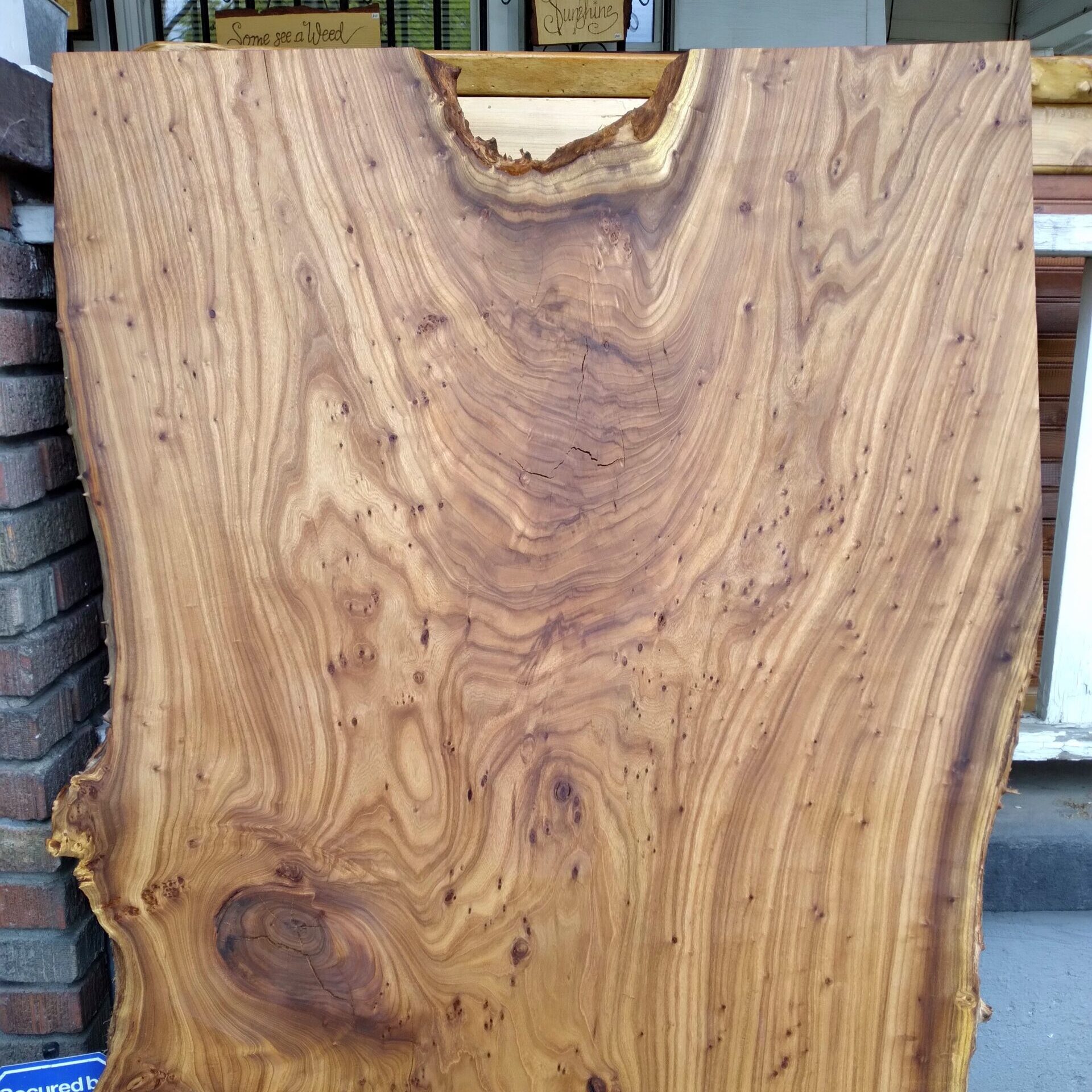 a wood Siberian Elm slab